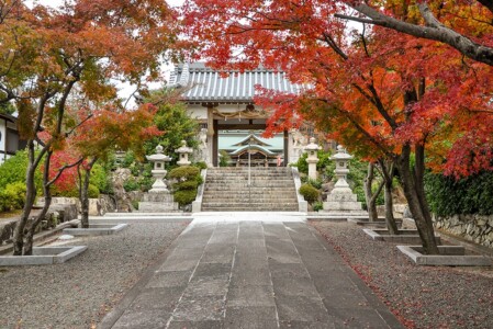 神門 為那都比古神社/神門