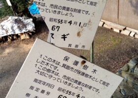 止々呂美神社 保護樹/止々呂美神社