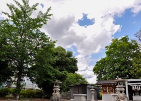春日神社御旅所/5ムクノキ・エノキなど 保護樹林/春日神社御旅所